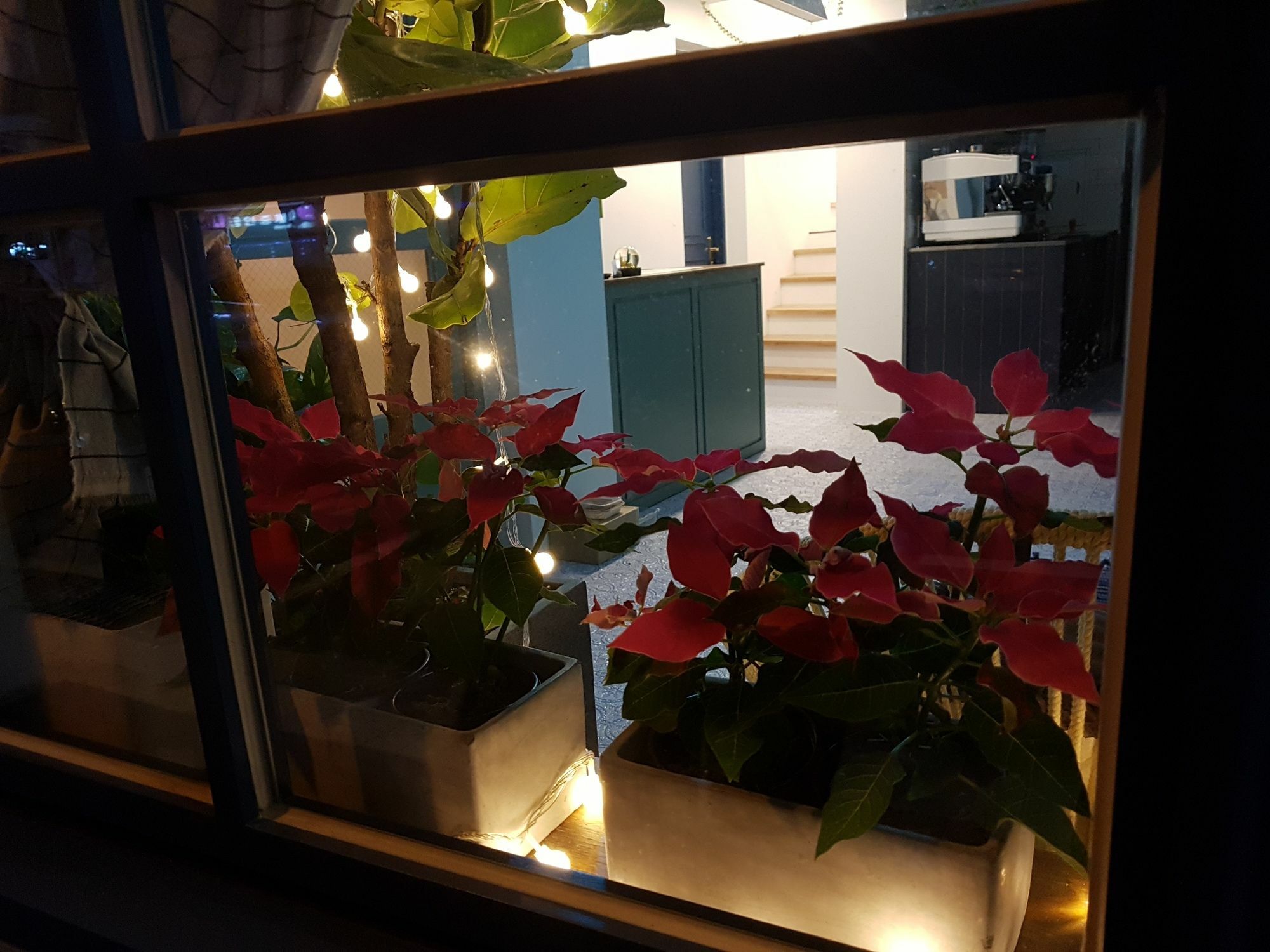 Hostel Single Single Busan Exterior foto